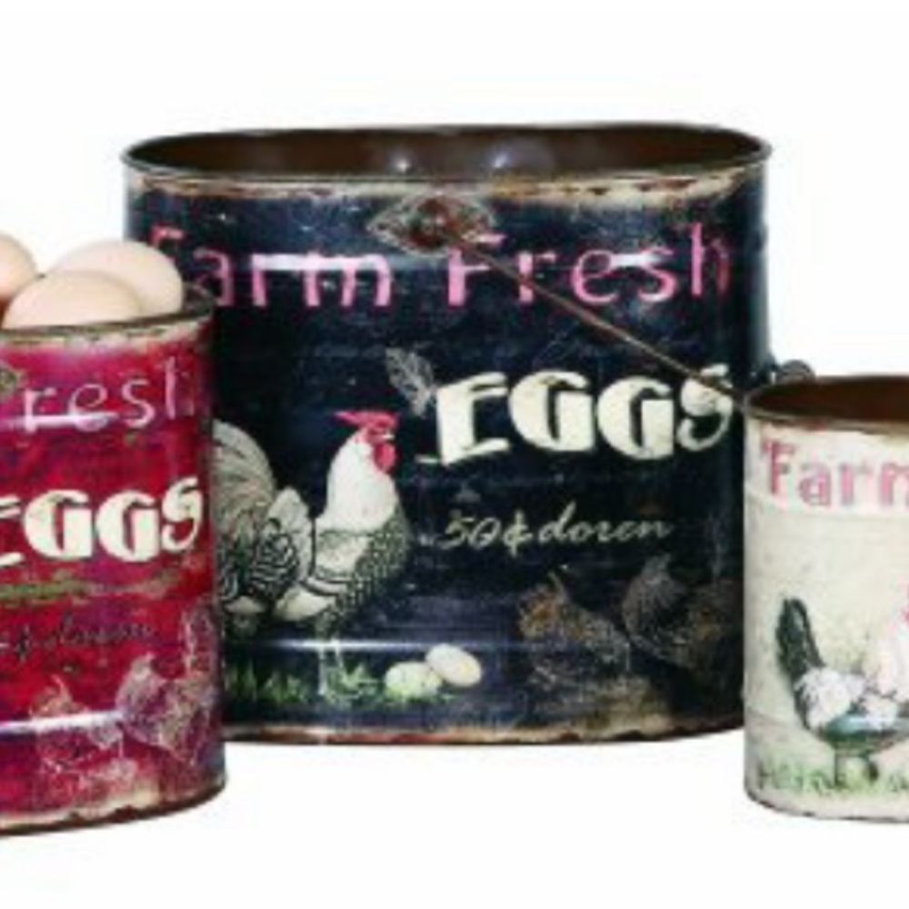 Creative Co-Op Decor Rooster & Eggs Tin Bucket Farmhouse decor